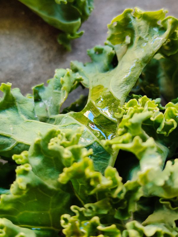 kale kaposts zalais